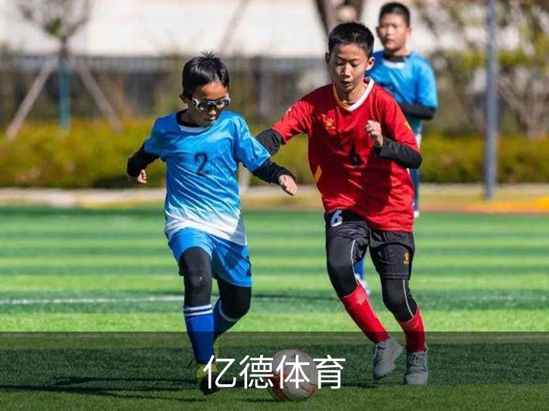 亿德体育简介